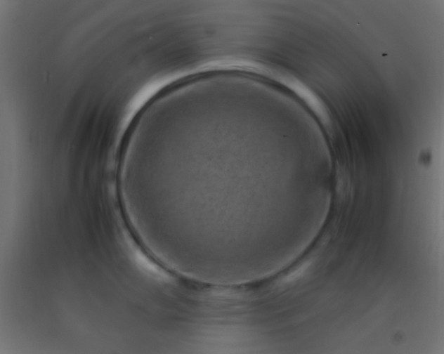 X0000092281102200709281240