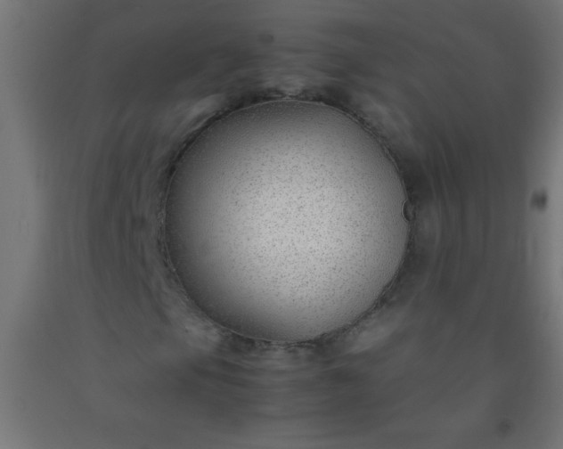 X0000092281105200709281239