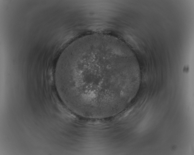 X0000092281106200709281239