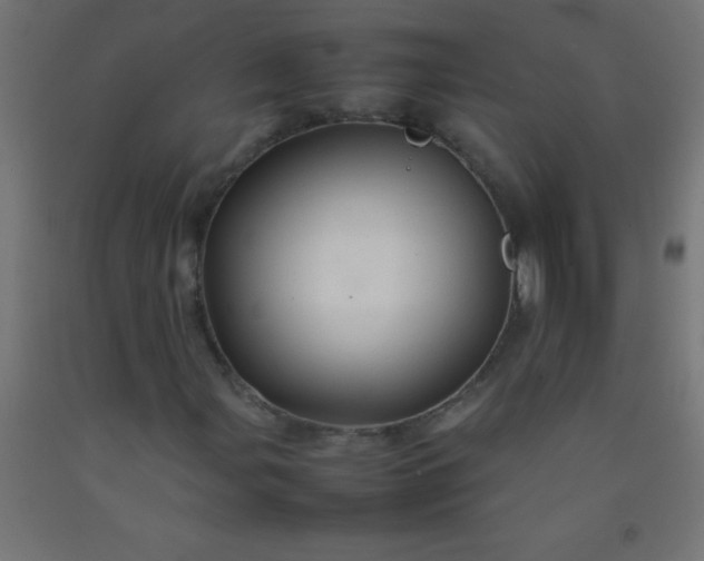 X0000092281107200709281239