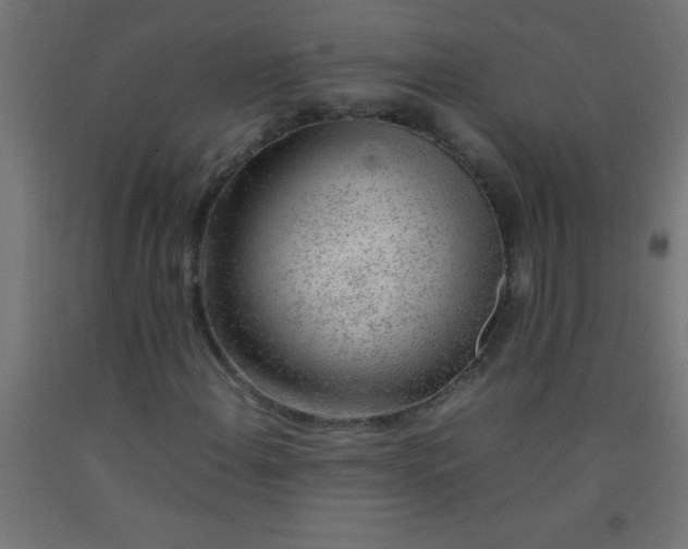 X0000092281108200709281239