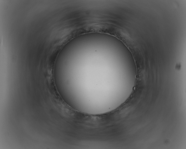 X0000092281109200709281239