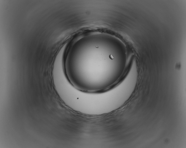 X0000092281110200709281239