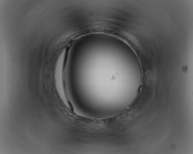 X0000092281111200709281239