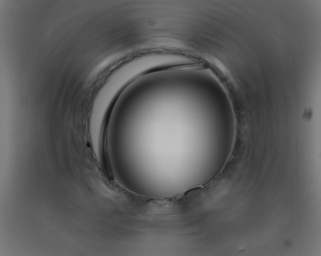 X0000092281112200709281239