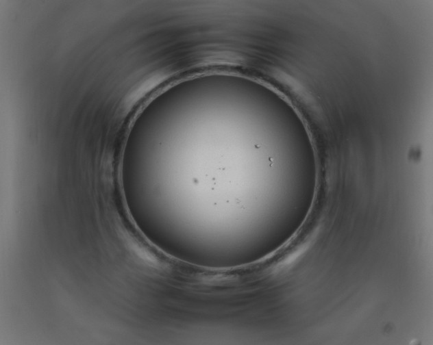 X0000092281113200709281240