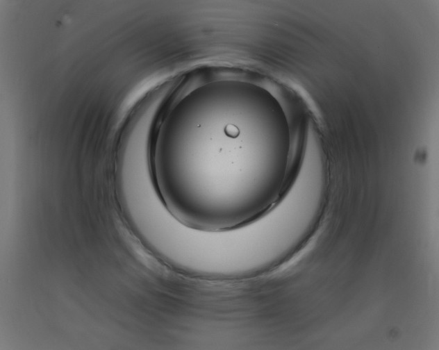 X0000092281114200709281240