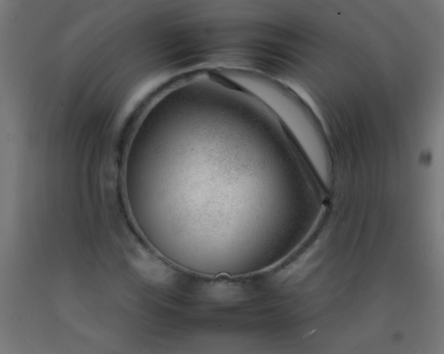 X0000092281115200709281240