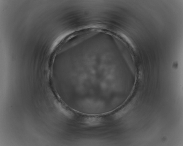 X0000092281117200709281240