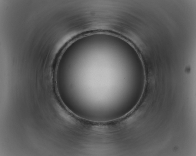 X0000092281118200709281240