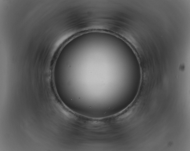 X0000092281119200709281240