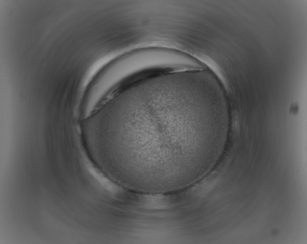 X0000092281120200709281240