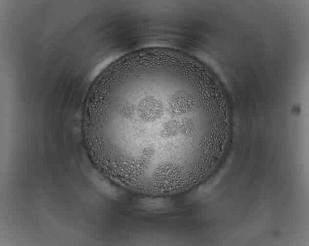 X0000092281121200709281240