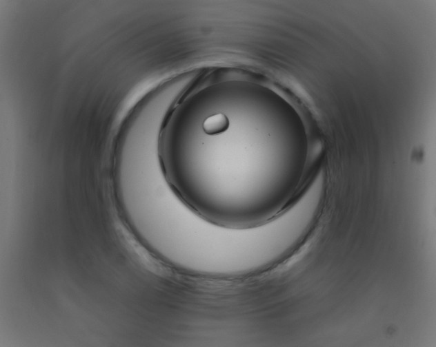 X0000092281122200709281240