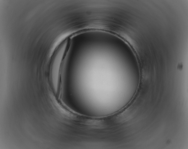 X0000092281123200709281240