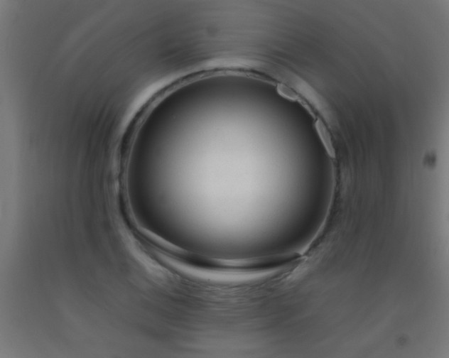 X0000092281124200709281240