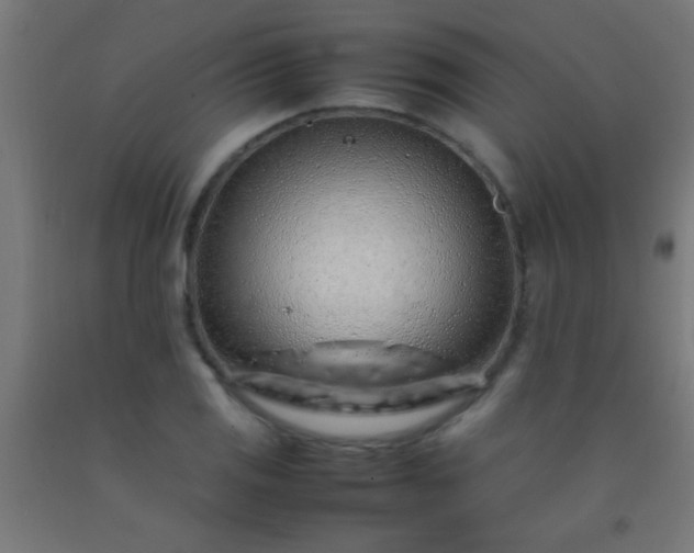 X0000092281125200709281240