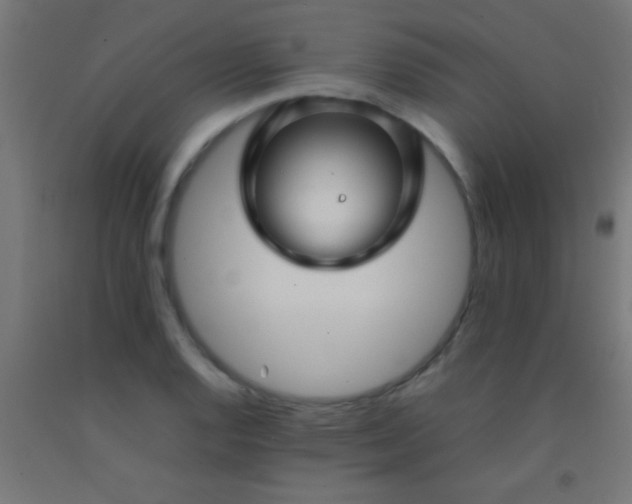 X0000092281128200709281240