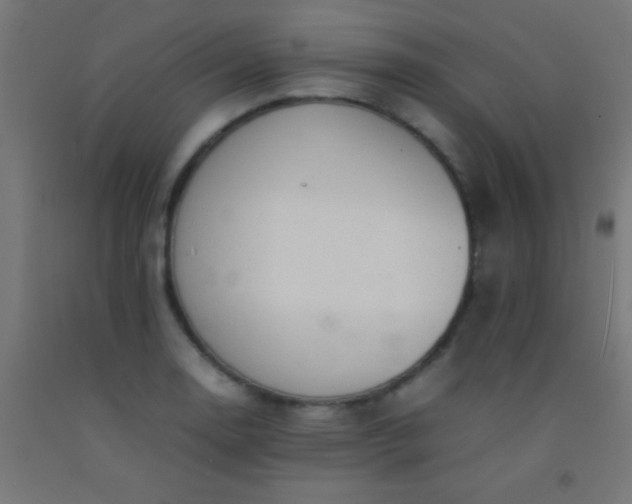 X0000092281130200709281240