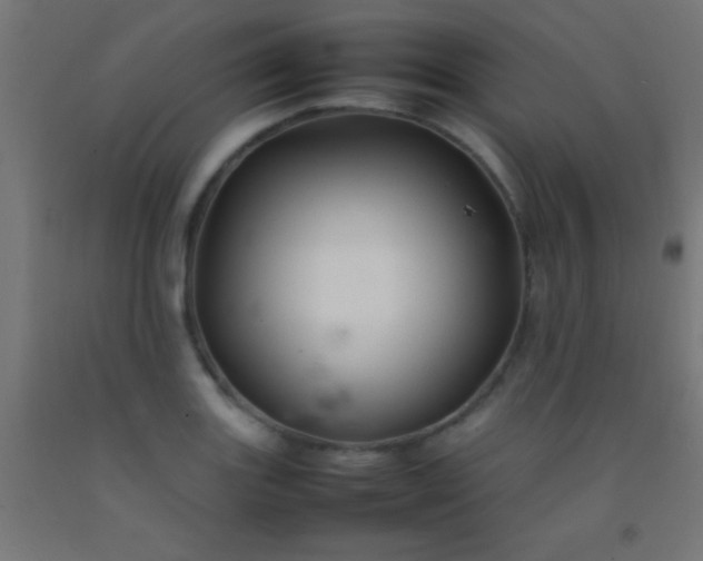 X0000092281131200709281240