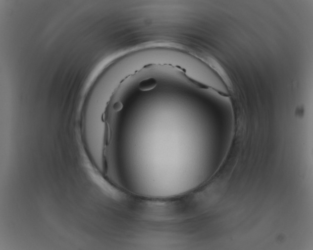 X0000092281132200709281240