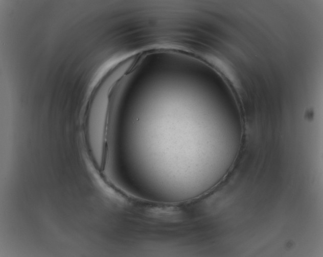 X0000092281133200709281240