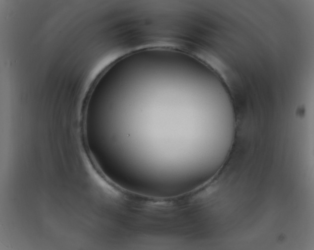 X0000092281135200709281240