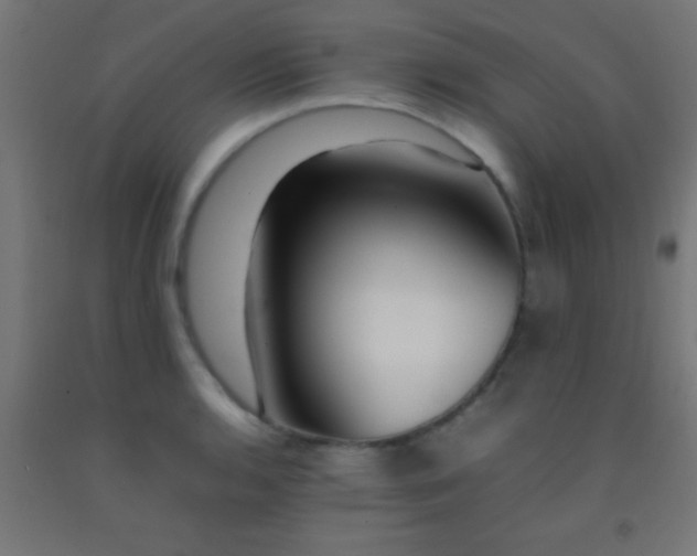 X0000092281136200709281240