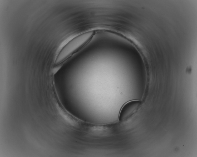 X0000092281137200709281240