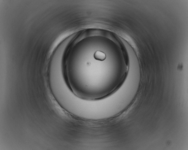 X0000092281138200709281240