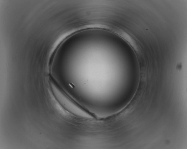 X0000092281140200709281240