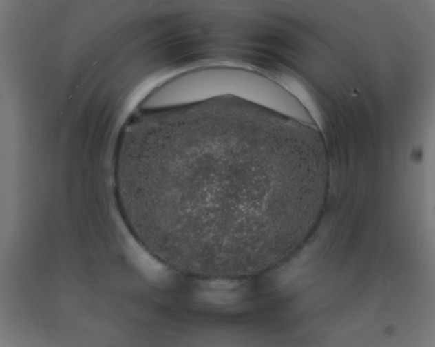 X0000092281141200709281240