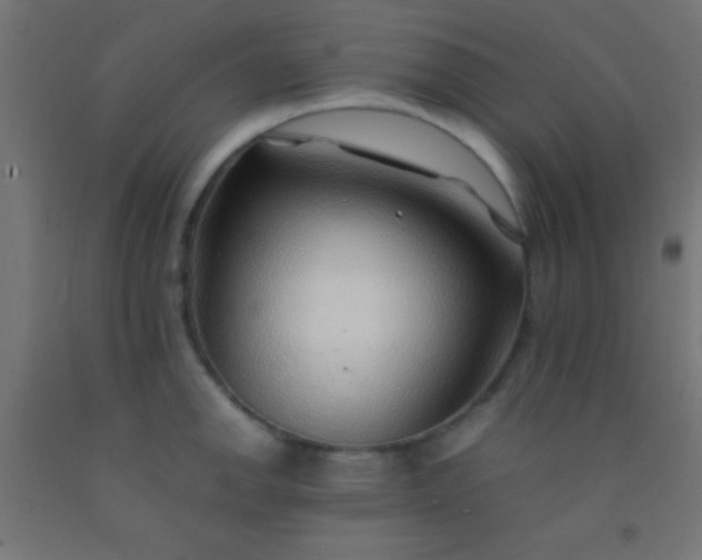 X0000092281142200709281240