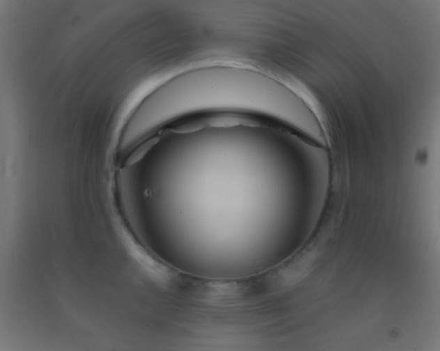 X0000092281144200709281240