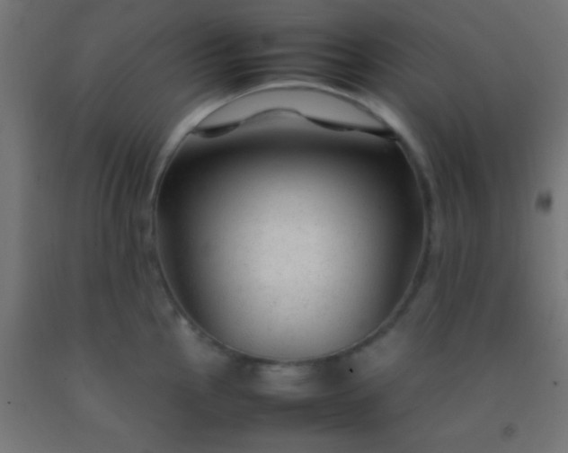 X0000092281145200709281240