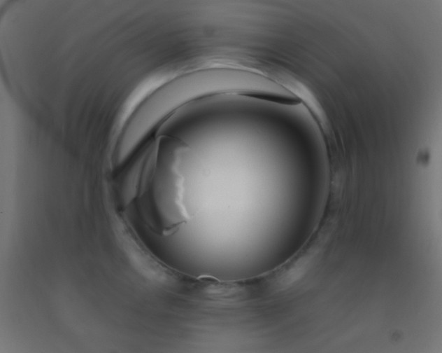 X0000092281146200709281240