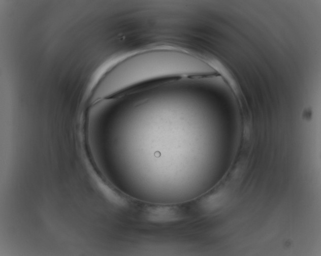 X0000092281149200709281240