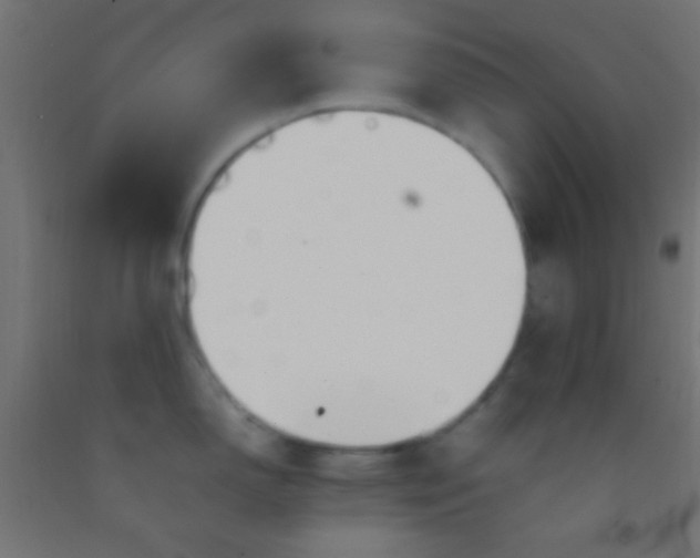 X0000092281150200709281240