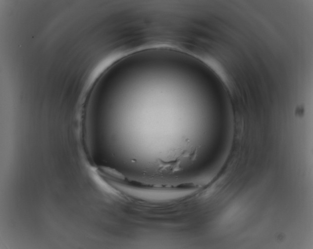 X0000092281151200709281240