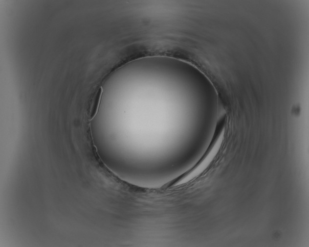 X0000092281153200709281239