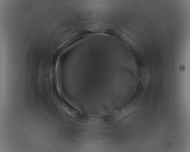 X0000092281154200709281239