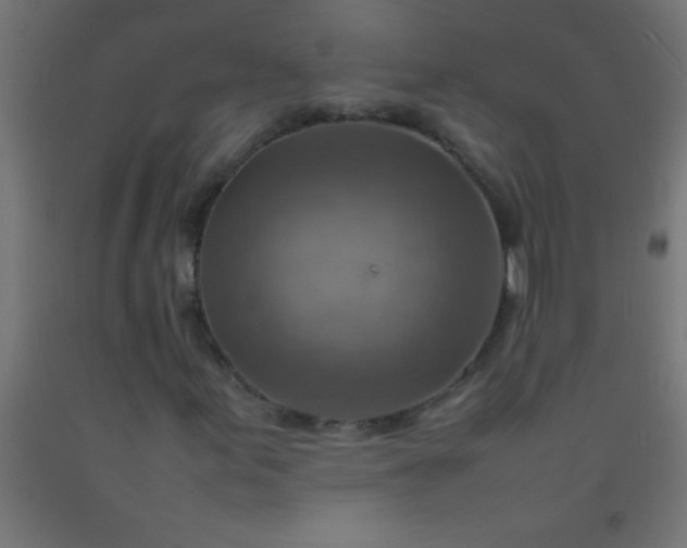 X0000092281155200709281239