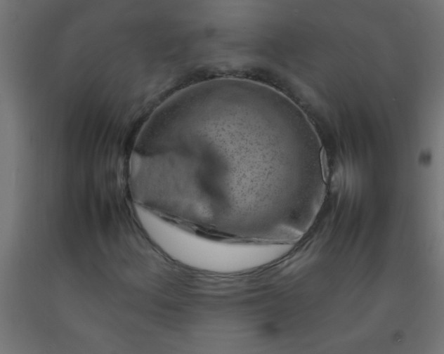 X0000092281156200709281239