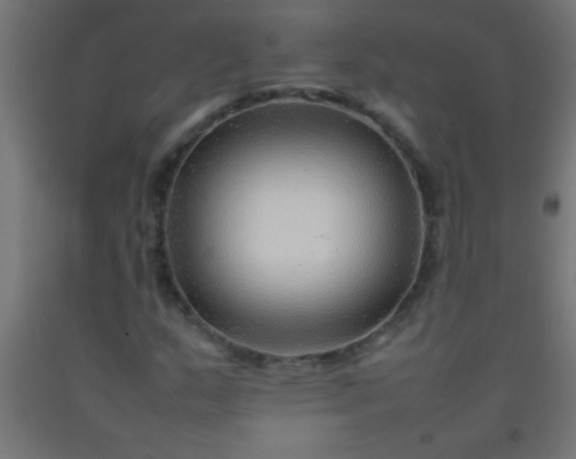 X0000092281159200709281239