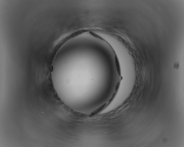 X0000092281160200709281239