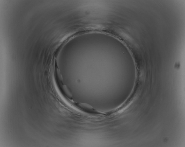 X0000092281161200709281239