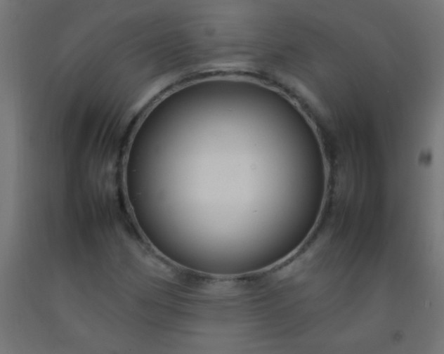 X0000092281162200709281239