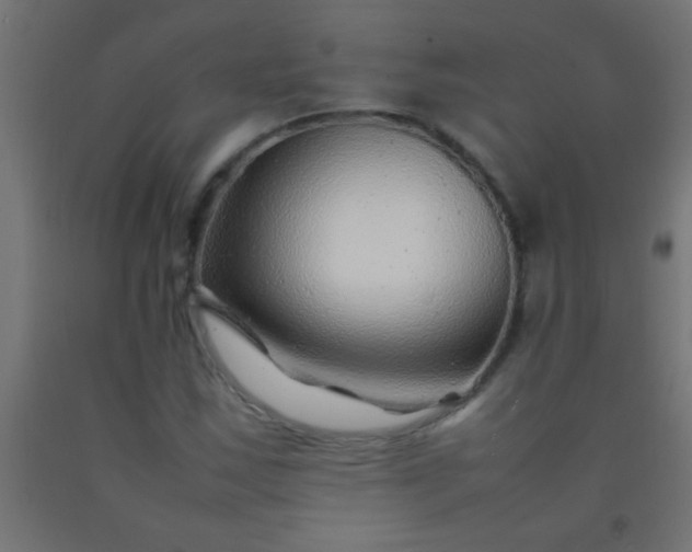 X0000092281163200709281239