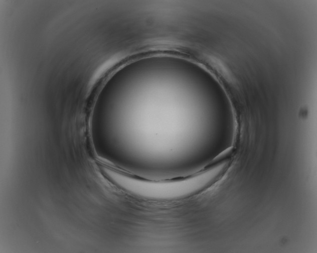 X0000092281164200709281239