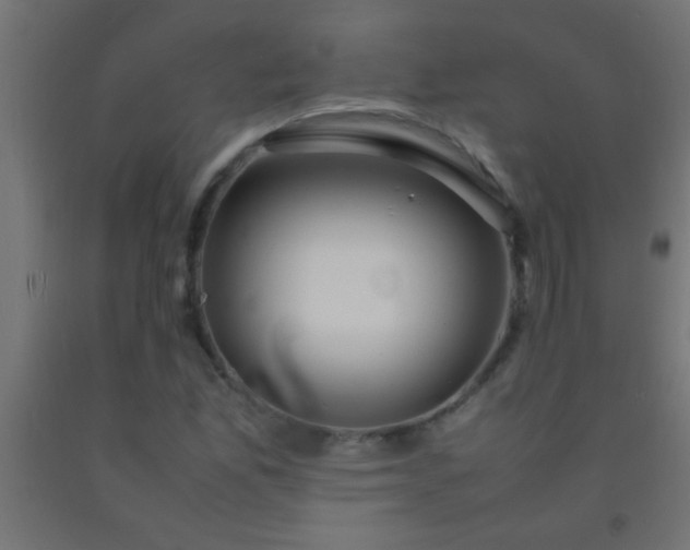 X0000092281165200709281239